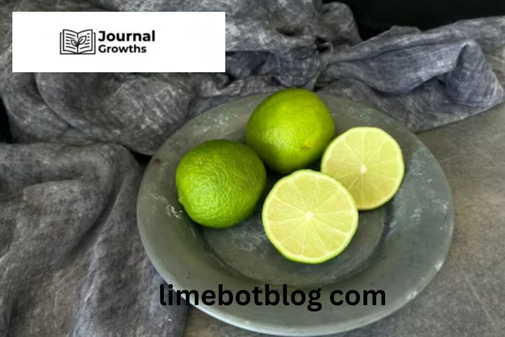 A Complete Guide to limebotblog com – Features, Benefits, and Content Insights